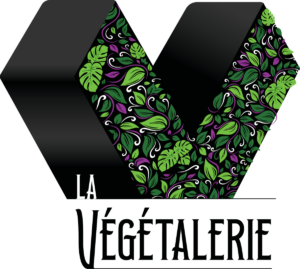 La Végétalerie — murs végétaux stabilisés